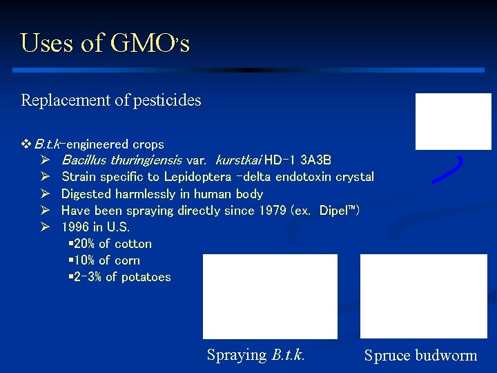 Uses of GMO’s Replacement of pesticides v B. t. k-engineered crops Ø Bacillus thuringiensis