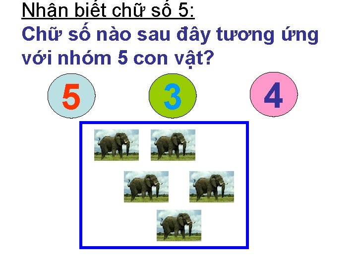 Nhận biết chữ số 5: Chữ số nào sau đây tương ứng với nhóm