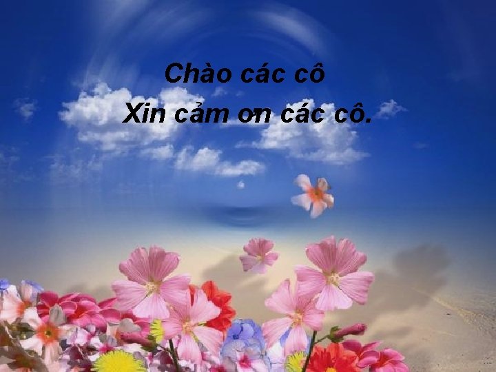 Chào các cô Xin cảm ơn các cô. 