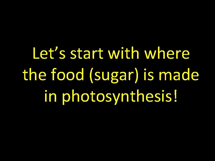 Let’s start with where the food (sugar) is made in photosynthesis! 