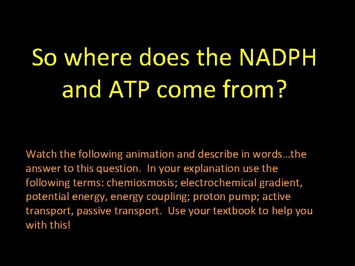 So where does the NADPH and ATP come from? Watch the following animation and