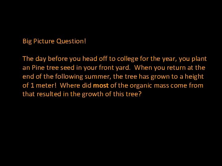 Big Picture Question! The day before you head off to college for the year,