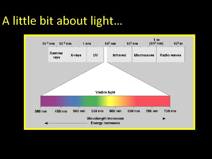 A little bit about light… 