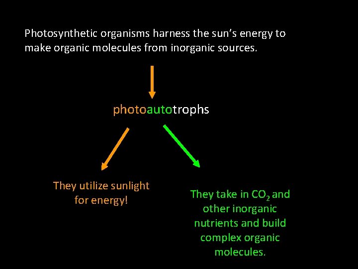 Photosynthetic organisms harness the sun’s energy to make organic molecules from inorganic sources. photoautotrophs