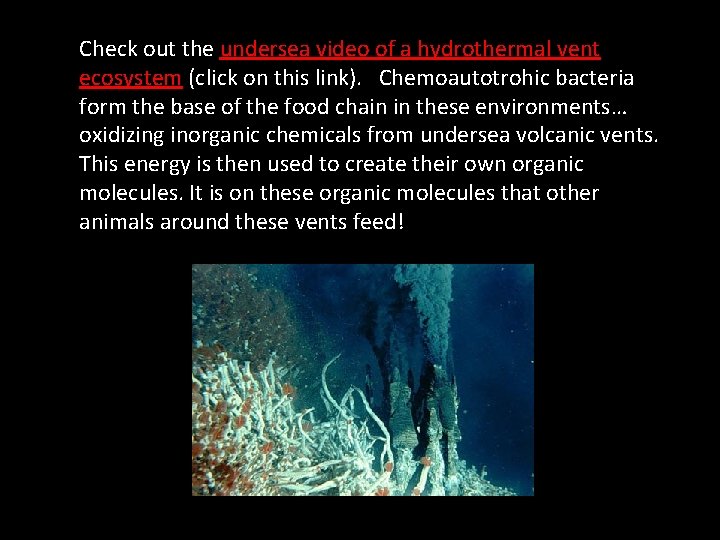 Check out the undersea video of a hydrothermal vent ecosystem (click on this link).