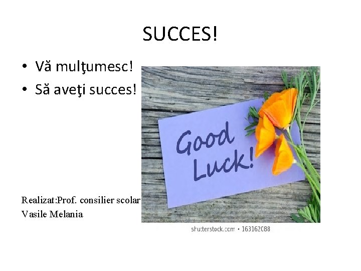 SUCCES! • Vă mulţumesc! • Să aveţi succes! Realizat: Prof. consilier scolar Vasile Melania