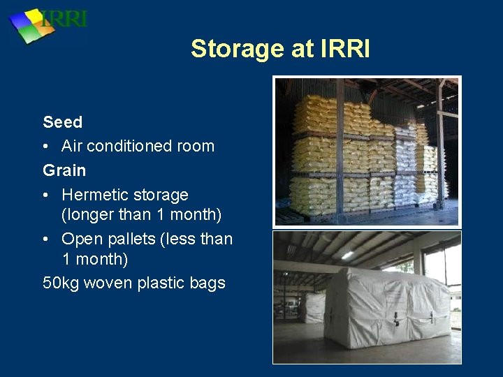 Storage at IRRI Seed • Air conditioned room Grain • Hermetic storage (longer than