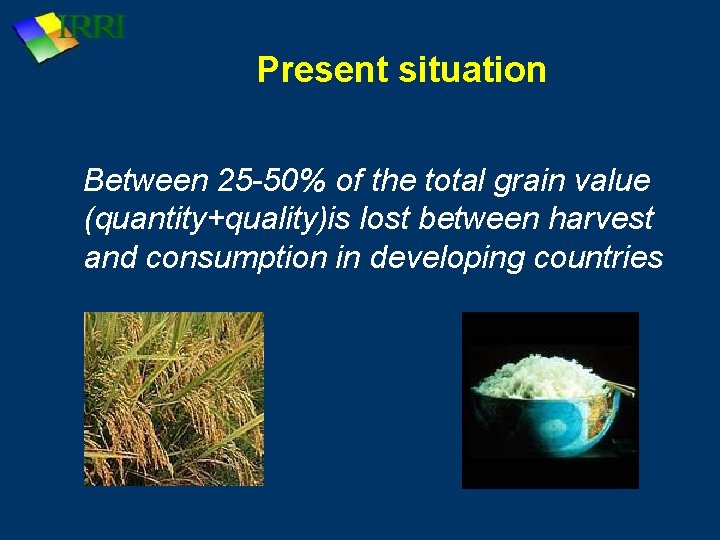 Present situation Between 25 -50% of the total grain value (quantity+quality)is lost between harvest