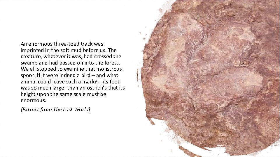 An enormous three-toed track was imprinted in the soft mud before us. The creature,