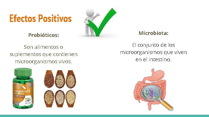 Efectos Positivos Probióticos: Microbiota: Son alimentos o suplementos que contienen microorganismos vivos. El conjunto Efectos Positivos Probióticos: Microbiota: Son alimentos o suplementos que contienen microorganismos vivos. El conjunto