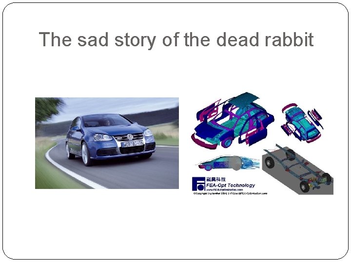 The sad story of the dead rabbit 