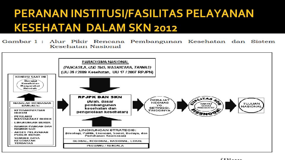 PERANAN INSTITUSI/FASILITAS PELAYANAN KESEHATAN DALAM SKN 2012 