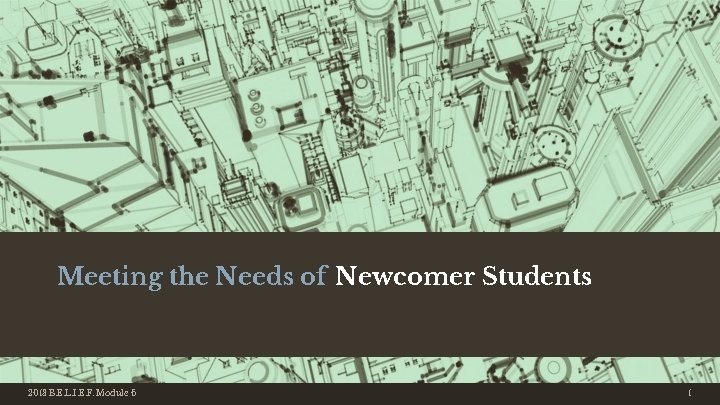 Meeting the Needs of Newcomer Students 2018 B. E. L. I. E. F. Module