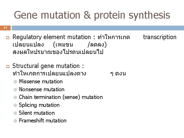 Gene mutation & protein synthesis 11 Regulatory element mutation : ทำใหการเกด เปลยนแปลง (เพมขน /ลดลง)