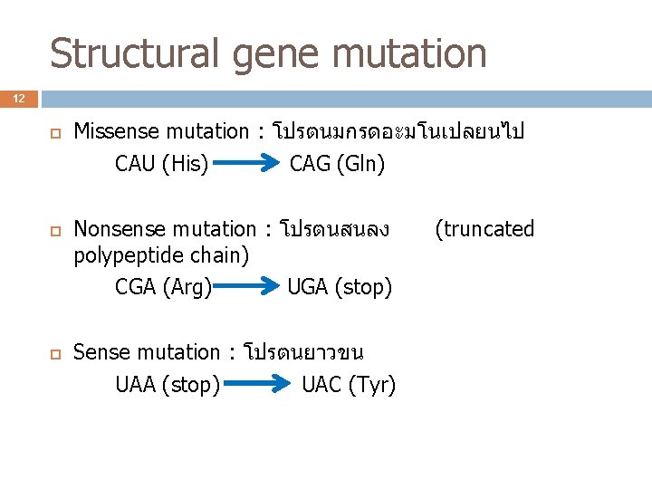 Structural gene mutation 12 Missense mutation : โปรตนมกรดอะมโนเปลยนไป CAU (His) CAG (Gln) Nonsense mutation