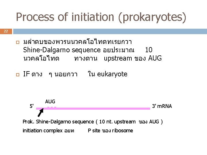 Process of initiation (prokaryotes) 22 มลำดบของพวรนนวคลโอไทดทเรยกวา Shine-Dalgarno sequence อยประมาณ 10 นวคลโอไทด ทางดาน upstream ของ