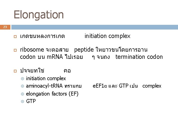 Elongation 23 เกดขนหลงการเกด initiation complex ribosome จะตอสาย peptide ใหยาวขนโดยการอาน codon บน m. RNA ไปเรอย