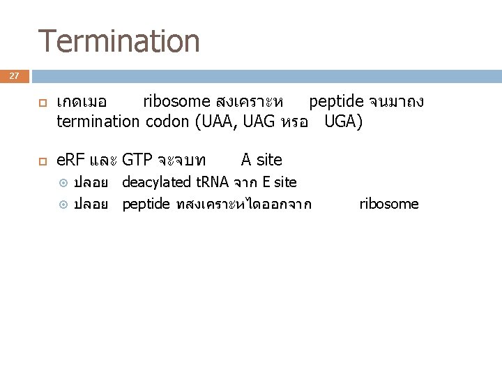 Termination 27 เกดเมอ ribosome สงเคราะห peptide จนมาถง termination codon (UAA, UAG หรอ UGA) e.