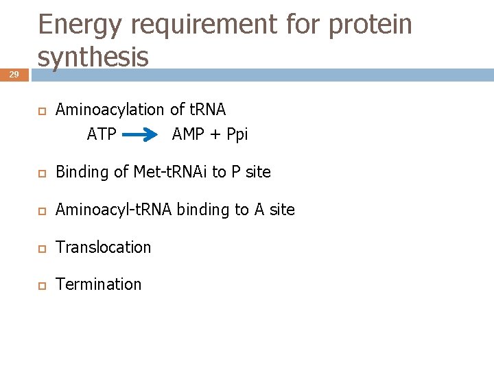 29 Energy requirement for protein synthesis Aminoacylation of t. RNA ATP AMP + Ppi