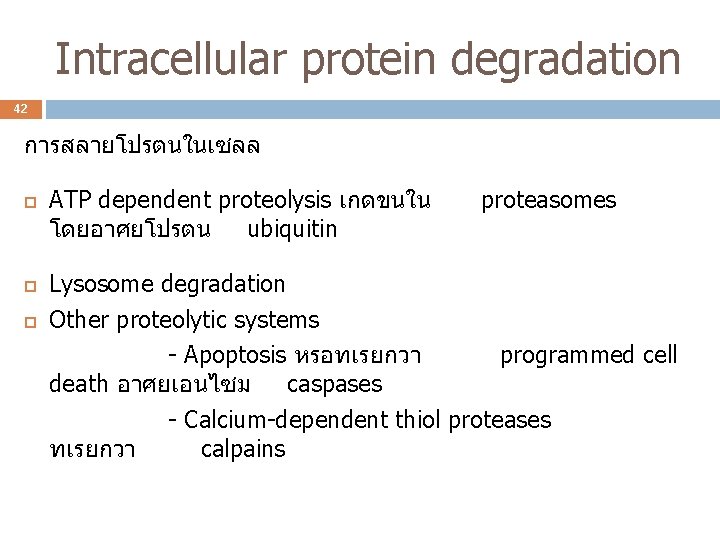 Intracellular protein degradation 42 การสลายโปรตนในเซลล ATP dependent proteolysis เกดขนใน โดยอาศยโปรตน ubiquitin proteasomes Lysosome degradation