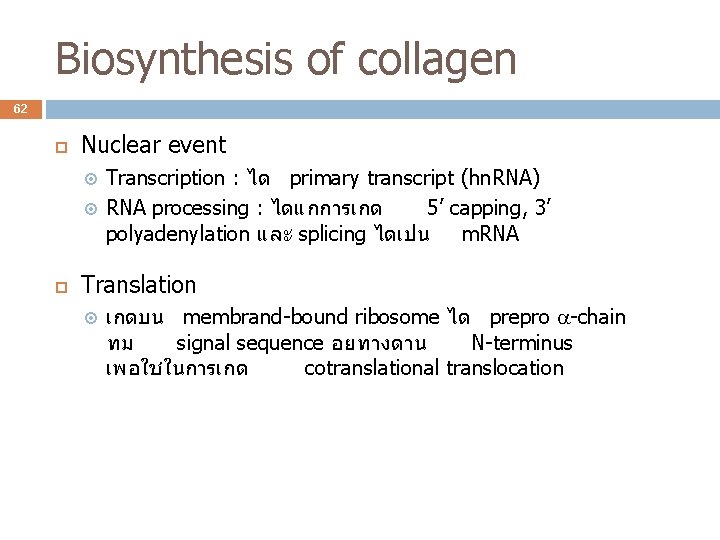 Biosynthesis of collagen 62 Nuclear event Transcription : ได primary transcript (hn. RNA) RNA