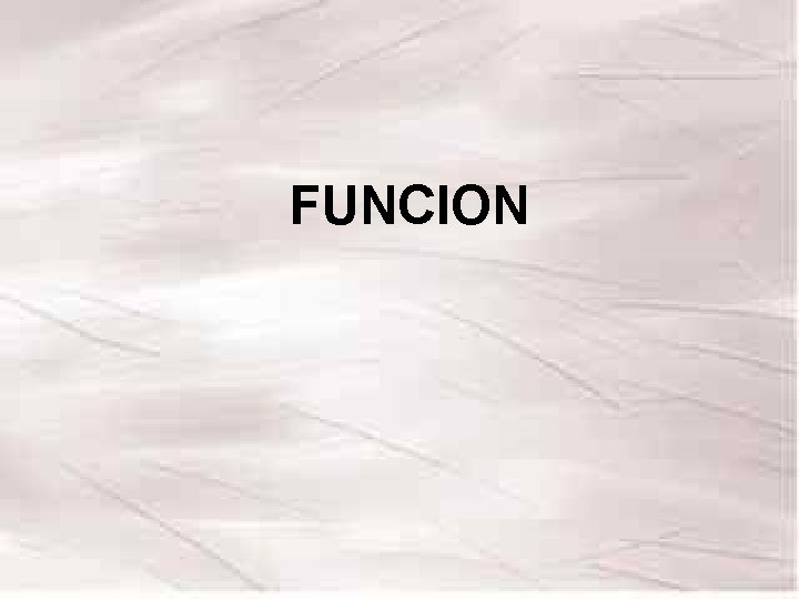 FUNCION FUNCION