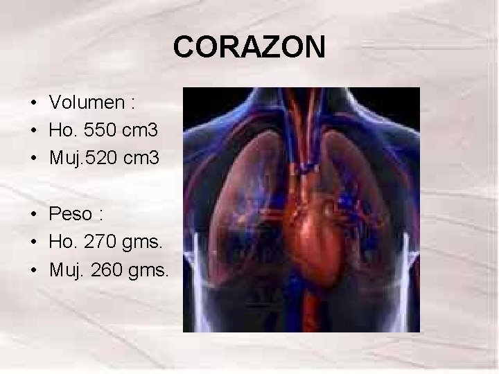 CORAZON • Volumen : • Ho. 550 cm 3 • Muj. 520 cm 3 CORAZON • Volumen : • Ho. 550 cm 3 • Muj. 520 cm 3