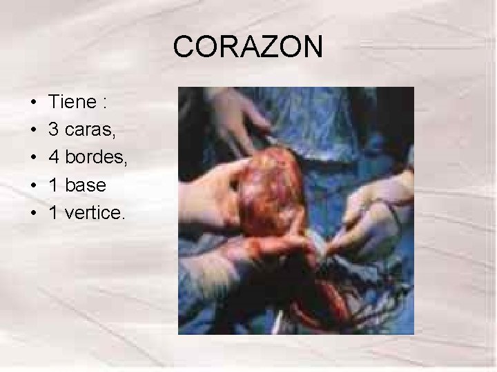 CORAZON • • • Tiene : 3 caras, 4 bordes, 1 base 1 vertice. CORAZON • • • Tiene : 3 caras, 4 bordes, 1 base 1 vertice.