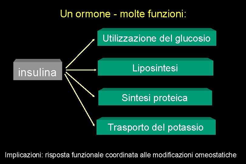 Un ormone - molte funzioni: Utilizzazione del glucosio insulina Liposintesi Sintesi proteica Trasporto del