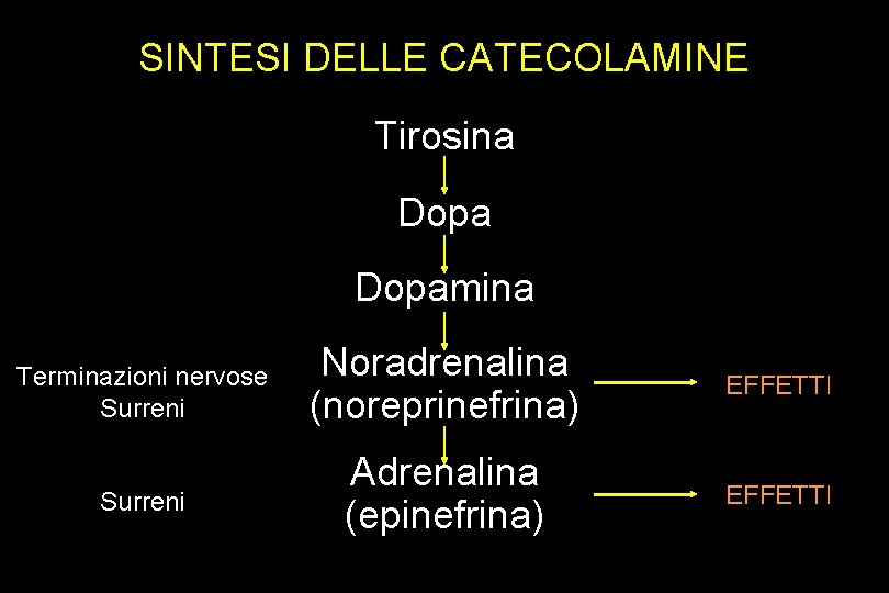 SINTESI DELLE CATECOLAMINE Tirosina Dopamina Terminazioni nervose Surreni Noradrenalina (noreprinefrina) EFFETTI Surreni Adrenalina (epinefrina)