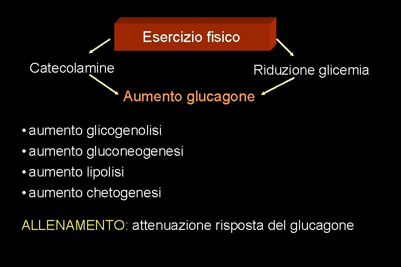 Esercizio fisico Catecolamine Riduzione glicemia Aumento glucagone • aumento glicogenolisi • aumento gluconeogenesi •
