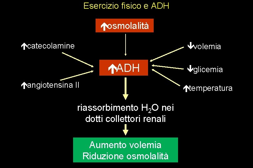 Esercizio fisico e ADH éosmolalità écatecolamine êvolemia éADH éangiotensina II êglicemia étemperatura riassorbimento H