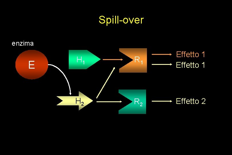 Spill-over enzima E H 1 R 1 Effetto 1 H 2 R 2 Effetto