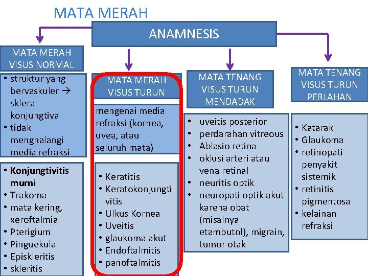 MATA MERAH ANAMNESIS MATA MERAH VISUS NORMAL • struktur yang bervaskuler sklera konjungtiva • MATA MERAH ANAMNESIS MATA MERAH VISUS NORMAL • struktur yang bervaskuler sklera konjungtiva •