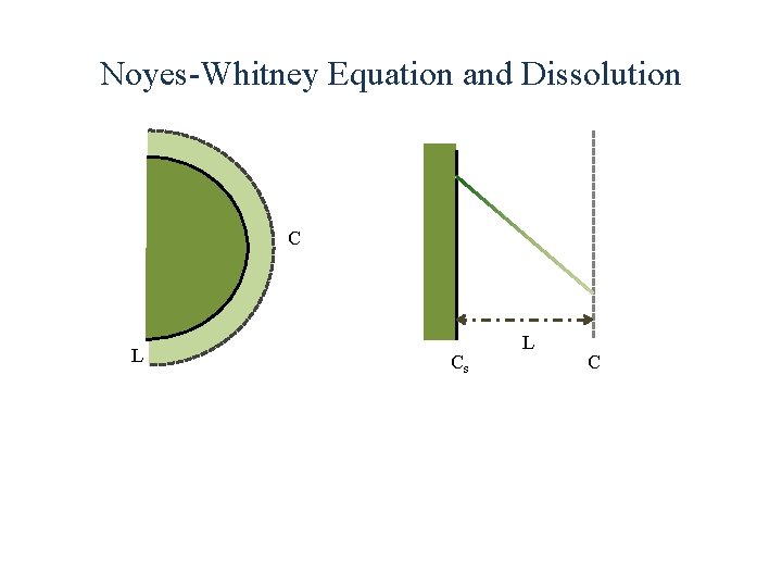 Noyes-Whitney Equation and Dissolution C L Cs L C 