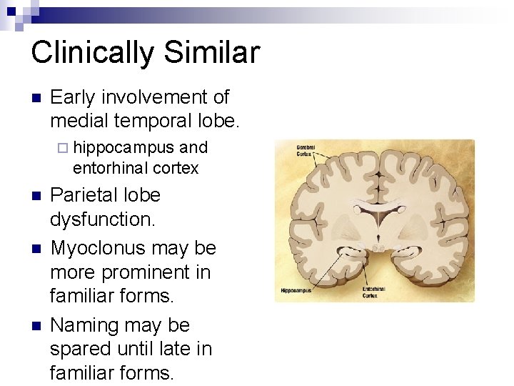 Clinically Similar n Early involvement of medial temporal lobe. ¨ hippocampus and entorhinal cortex
