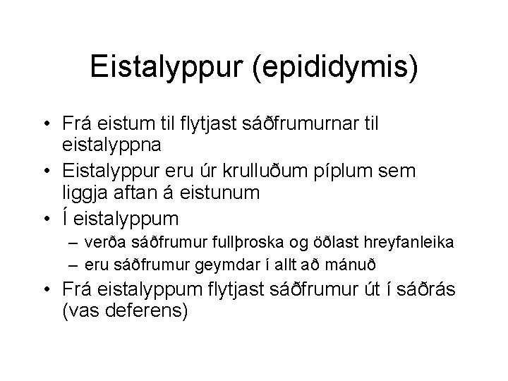 Eistalyppur (epididymis) • Frá eistum til flytjast sáðfrumurnar til eistalyppna • Eistalyppur eru úr