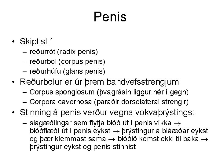 Penis • Skiptist í – reðurrót (radix penis) – reðurbol (corpus penis) – reðurhúfu