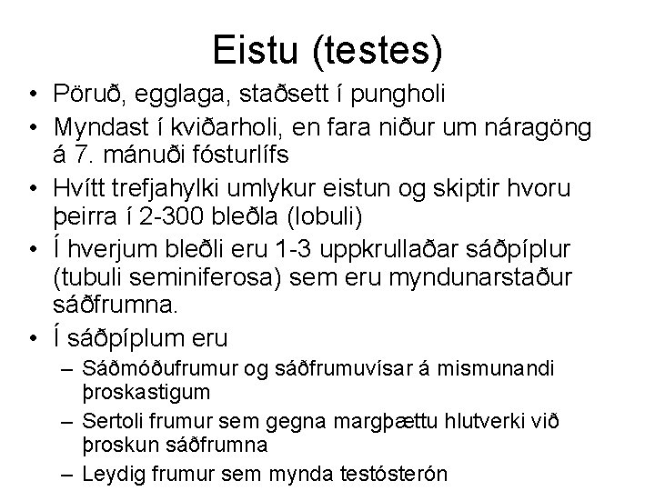 Eistu (testes) • Pöruð, egglaga, staðsett í pungholi • Myndast í kviðarholi, en fara