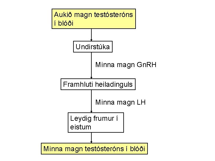 Aukið magn testósteróns í blóði Undirstúka Minna magn Gn. RH Framhluti heiladinguls Minna magn