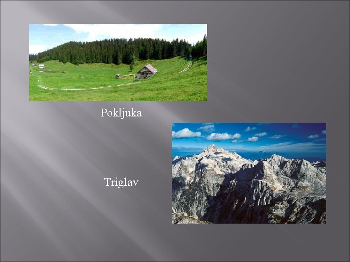 Pokljuka Triglav Pokljuka Triglav