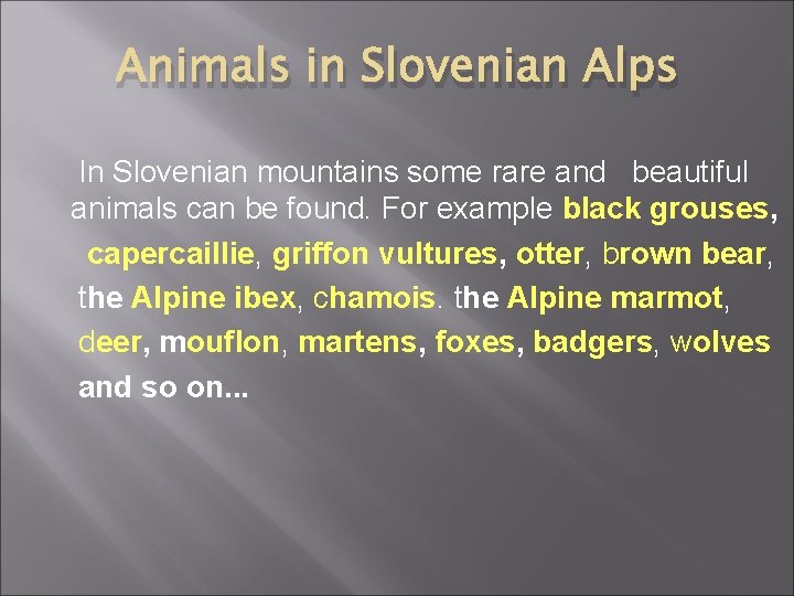 Animals in Slovenian Alps In Slovenian mountains some rare and beautiful animals can be Animals in Slovenian Alps In Slovenian mountains some rare and beautiful animals can be