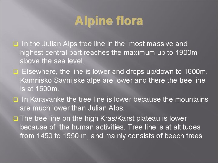 Alpine flora q In the Julian Alps tree line in the most massive and Alpine flora q In the Julian Alps tree line in the most massive and