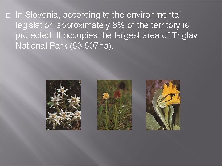 In Slovenia, according to the environmental legislation approximately 8% of the territory is In Slovenia, according to the environmental legislation approximately 8% of the territory is