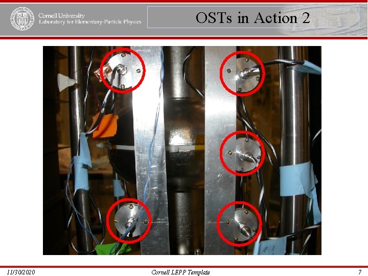 OSTs in Action 2 11/30/2020 Cornell LEPP Template 7 