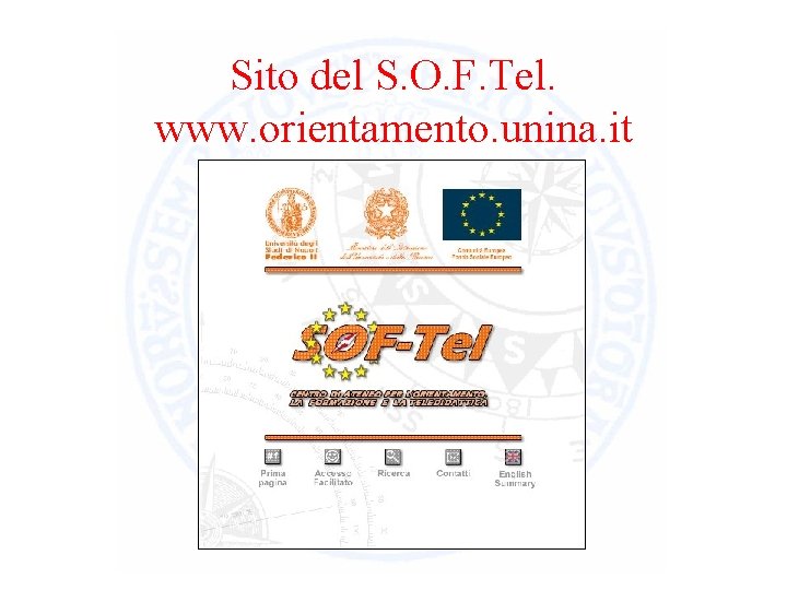 Sito del S. O. F. Tel. www. orientamento. unina. it 