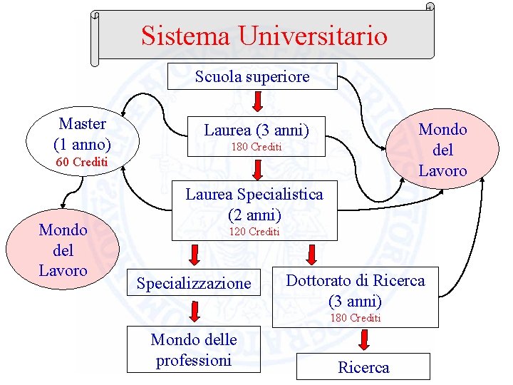 Sistema Universitario Scuola superiore Master (1 anno) Mondo del Lavoro Laurea (3 anni) 180