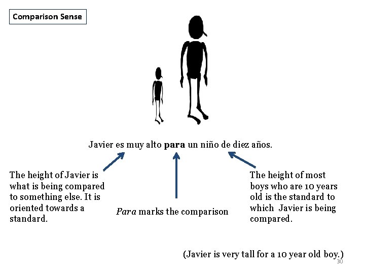 Comparison Sense Javier es muy alto para un niño de diez años. The height