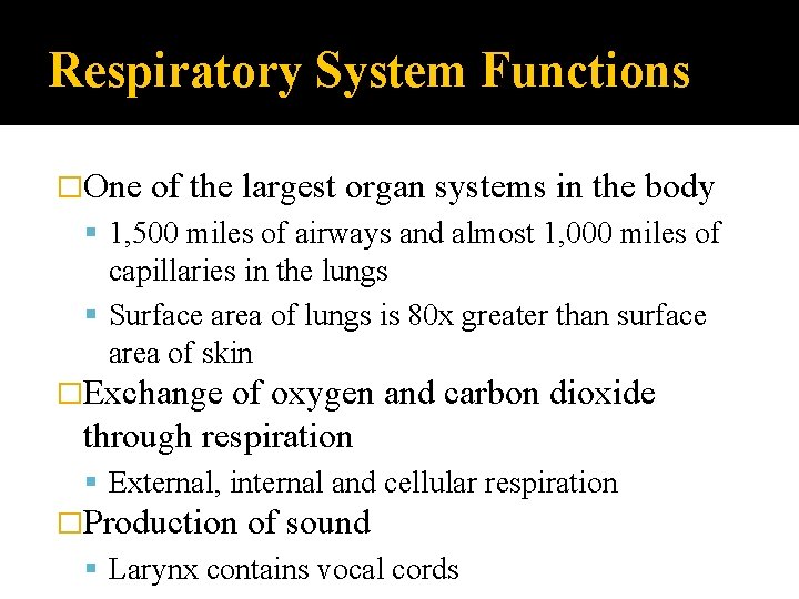 Respiratory System Functions �One of the largest organ systems in the body 1, 500