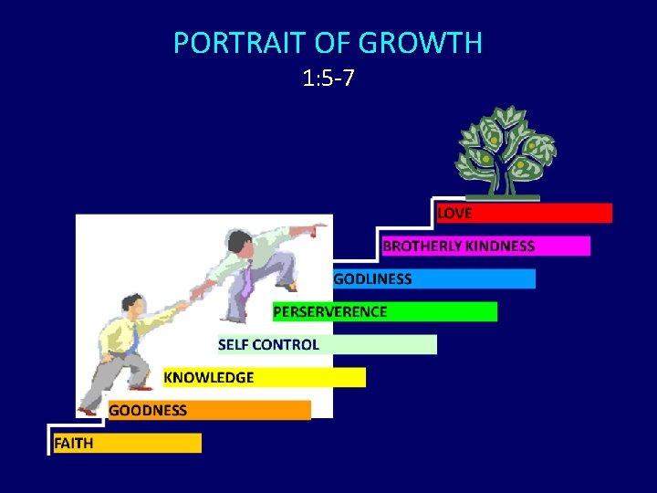 PORTRAIT OF GROWTH 1: 5 -7 